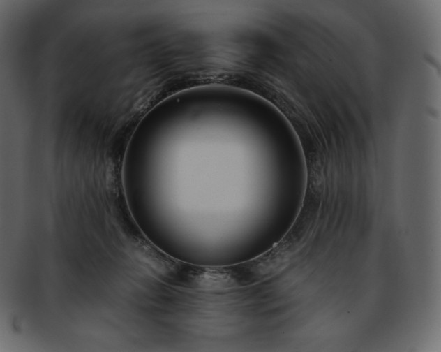 X0000093370270200710191122