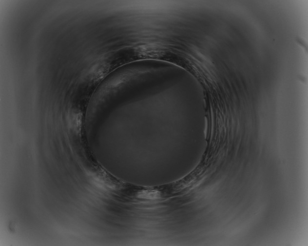 X0000093370271200710191122