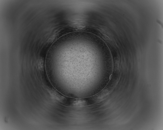 X0000093370274200710191122