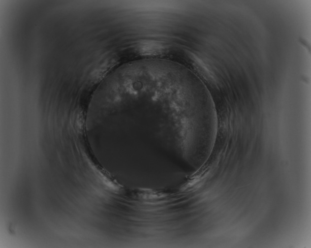 X0000093370277200710191122