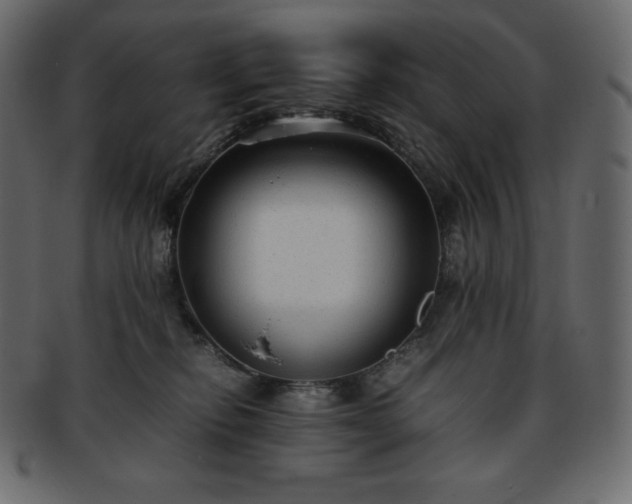 X0000093370278200710191122