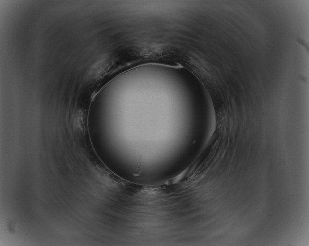 X0000093370280200710191122