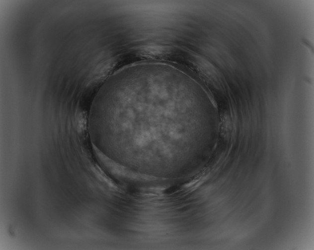 X0000093370284200710191122