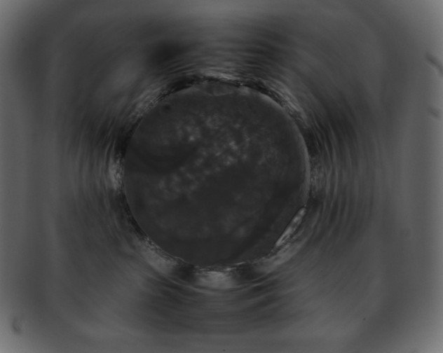 X0000093370285200710191122