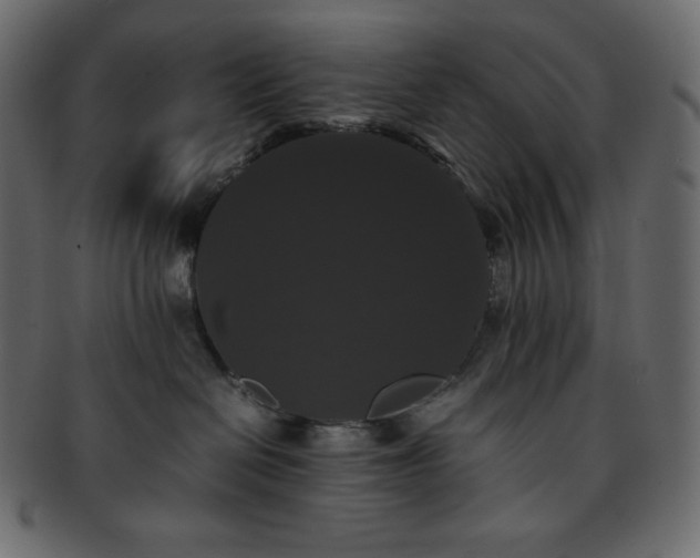 X0000093370286200710191122