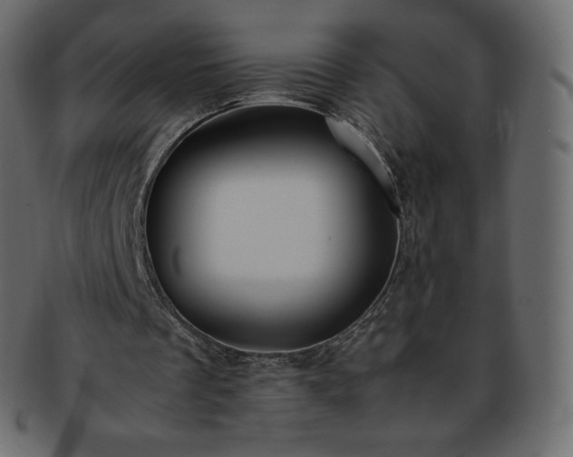 X0000093370289200710191121