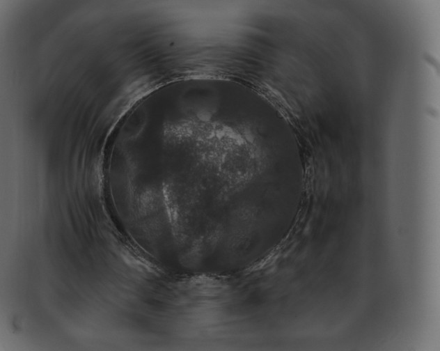 X0000093370290200710191121