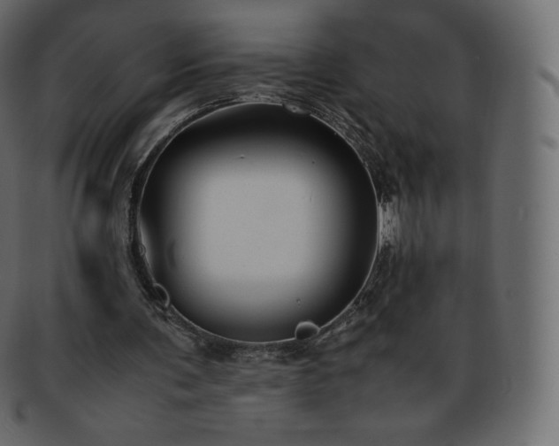 X0000093370291200710191121