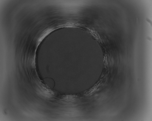 X0000093370292200710191121