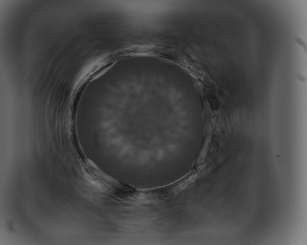 X0000093370293200710191121