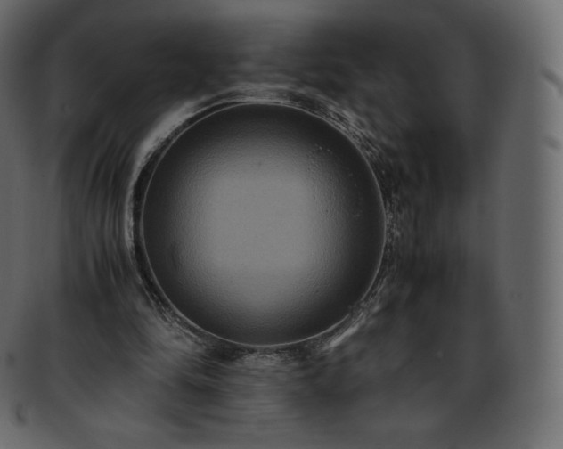 X0000093370294200710191121