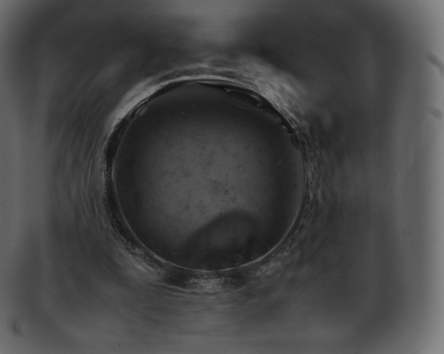 X0000093370295200710191121