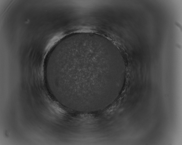 X0000093370296200710191121