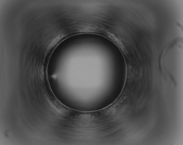 X0000093370298200710191121