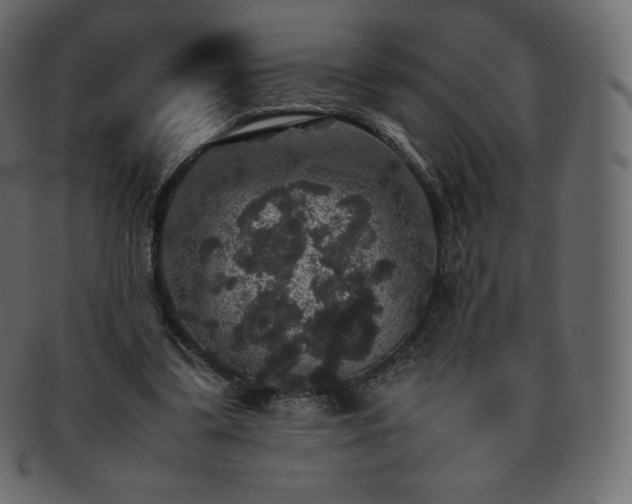 X0000093370299200710191121