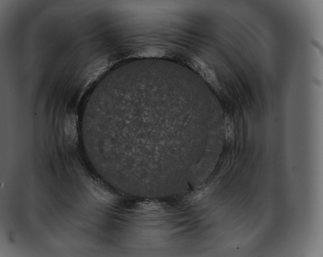 X0000093370300200710191121