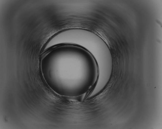 X0000093370301200710191121