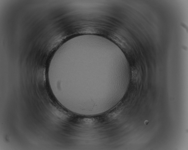 X0000093370302200710191121