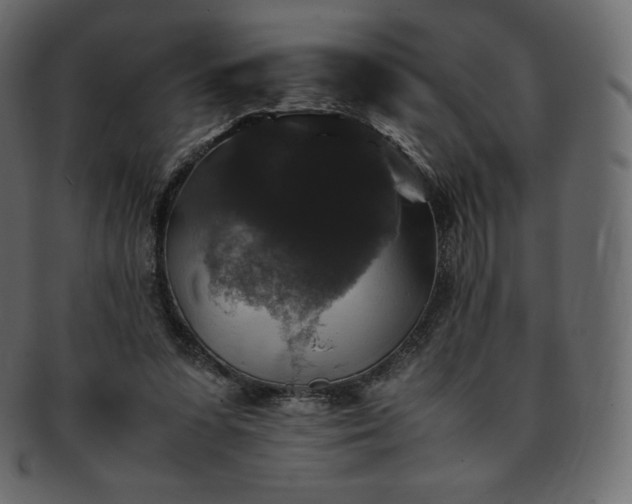 X0000093370303200710191121