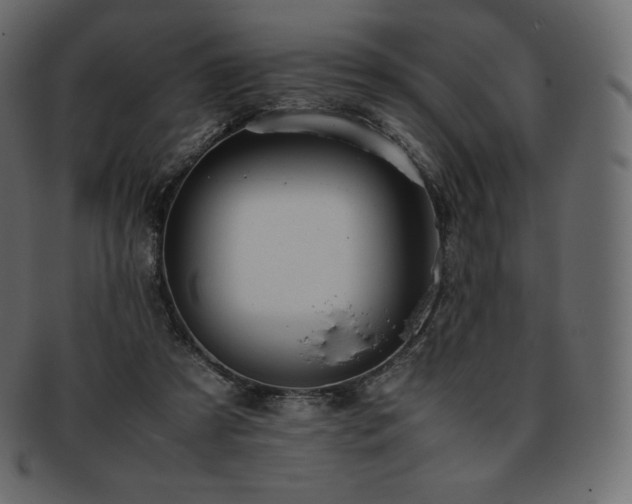 X0000093370305200710191121