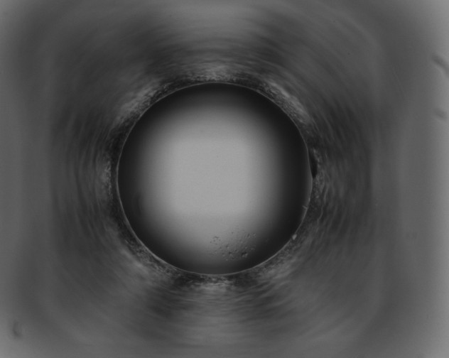 X0000093370306200710191121