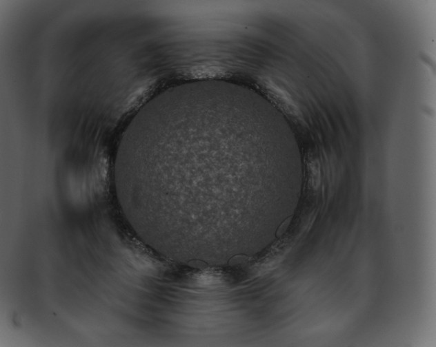 X0000093370308200710191121