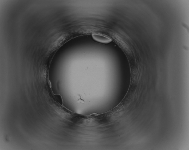 X0000093370309200710191121