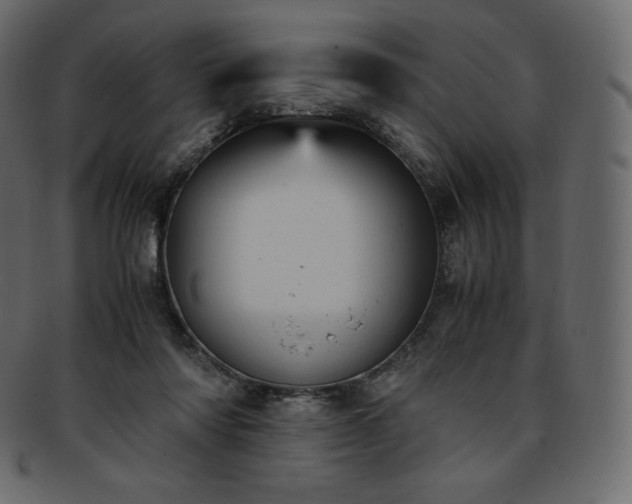 X0000093370310200710191121