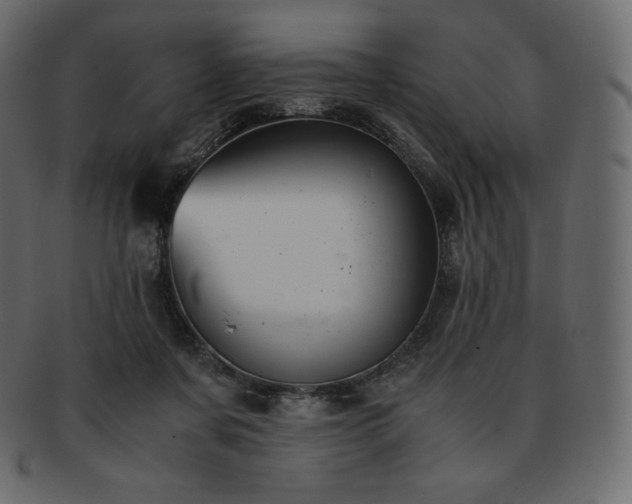 X0000093370311200710191121