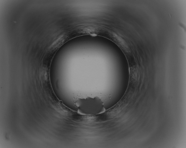 X0000093370313200710191121