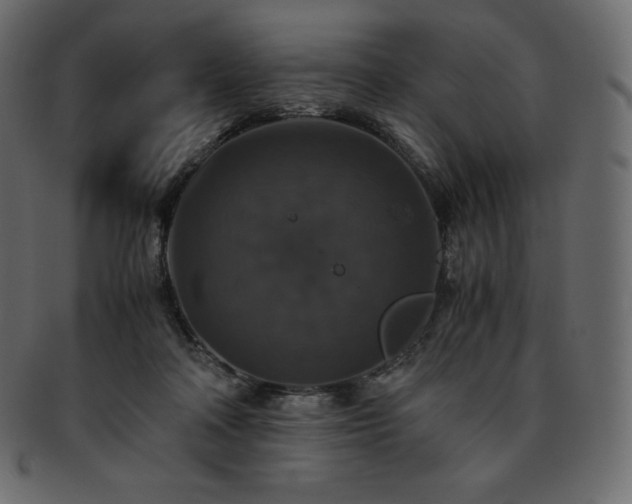 X0000093370314200710191121