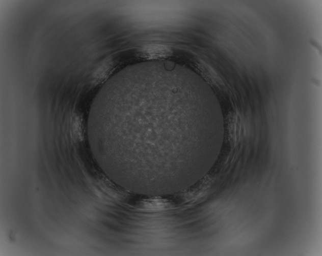 X0000093370316200710191121