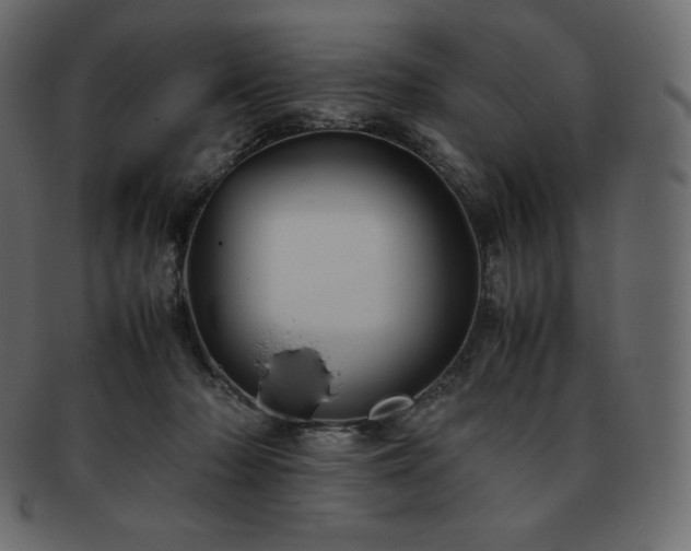 X0000093370318200710191121