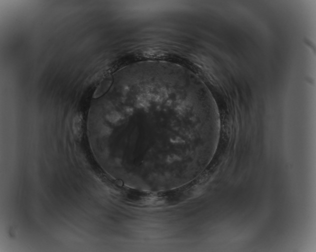 X0000093370319200710191121