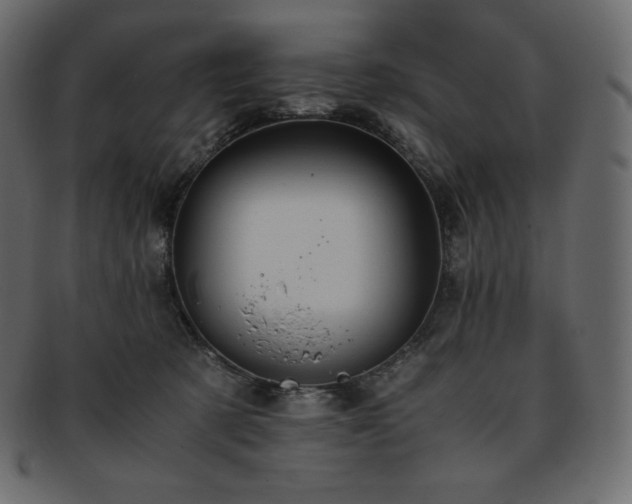 X0000093370321200710191121