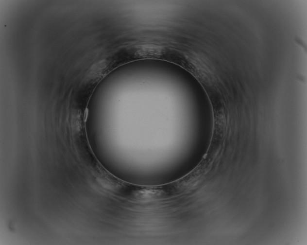 X0000093370323200710191121