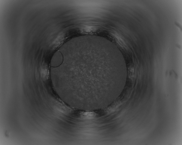 X0000093370324200710191121