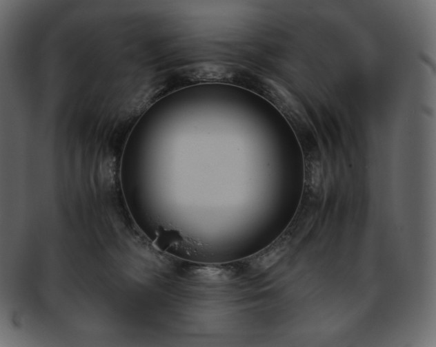 X0000093370326200710191121