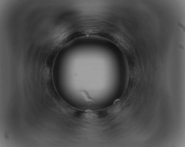 X0000093370327200710191121