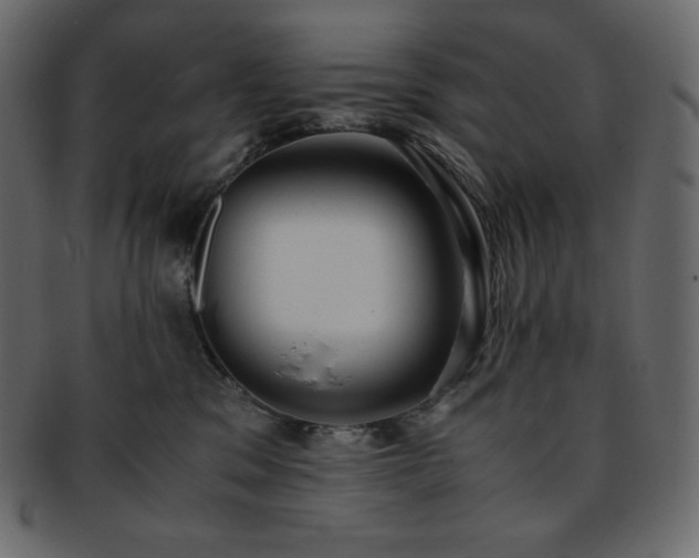 X0000093370329200710191121