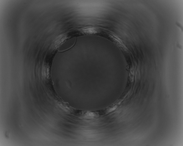 X0000093370330200710191120