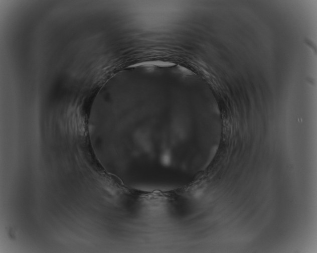 X0000093370331200710191120