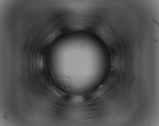 X0000093370334200710191120