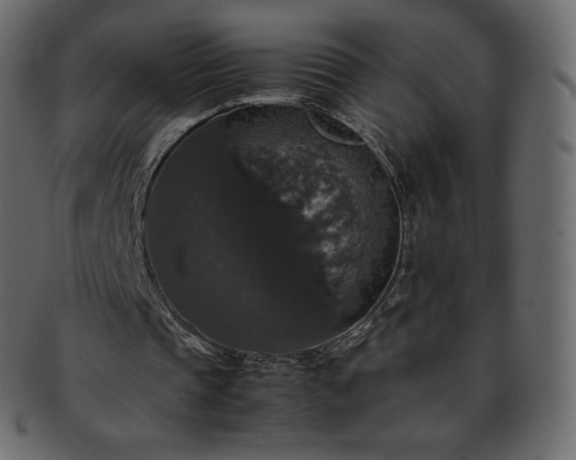 X0000093370337200710191120