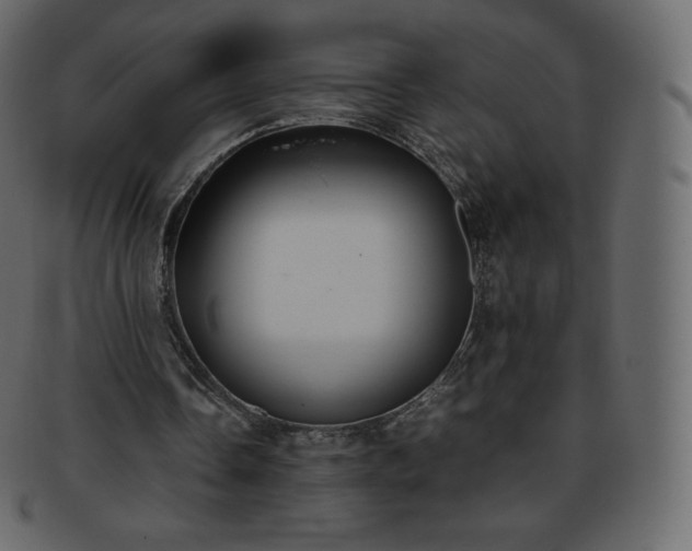 X0000093370338200710191120