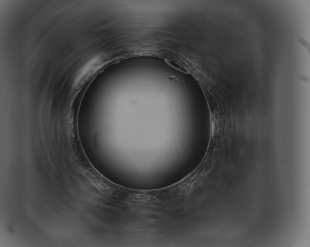 X0000093370339200710191120