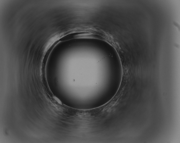 X0000093370340200710191120