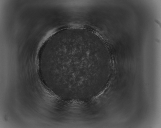 X0000093370343200710191120