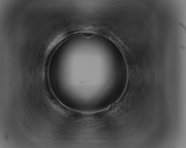 X0000093370344200710191120