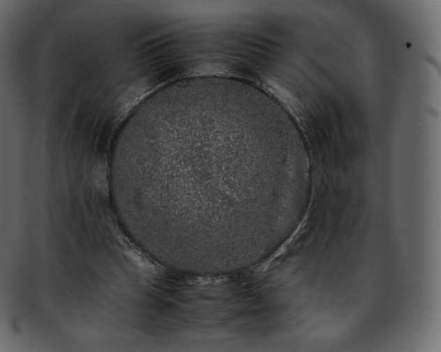 X0000093370345200710191120